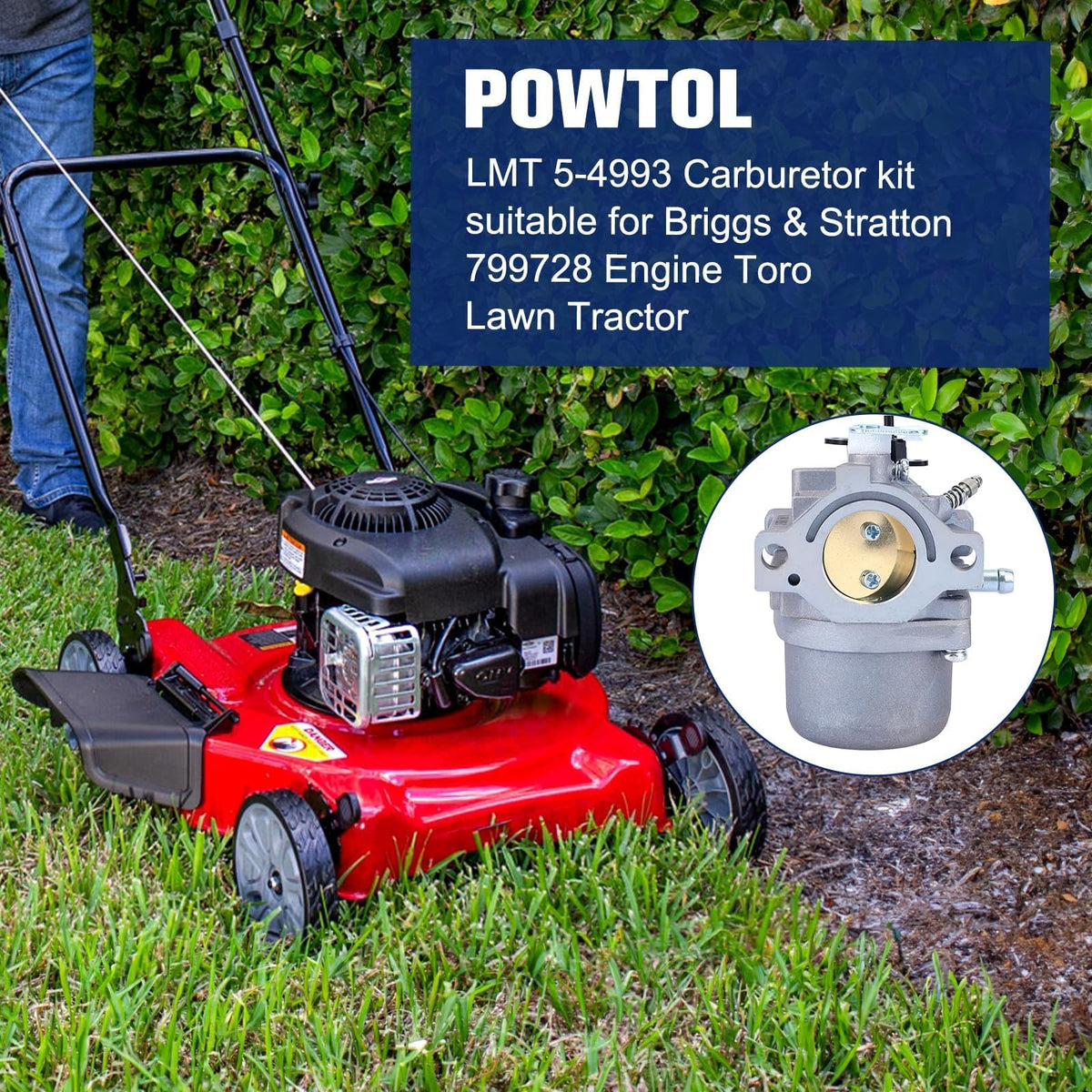 Powtol Briggs & Stratton carburetor fit for 799728 models