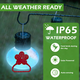 Pozfun hummingbird feeder glows at night, illuminating paths with gentle garden light.