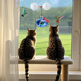 Pozfun outdoor garden feeder enhances backyard bird watching from a window.