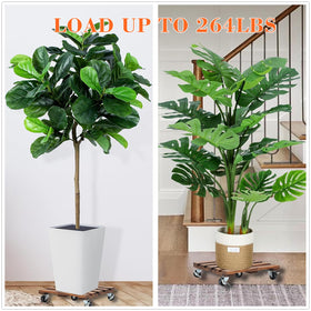 PRAQECZ rolling plant stand 12-inch enables flexible indoor movement.
