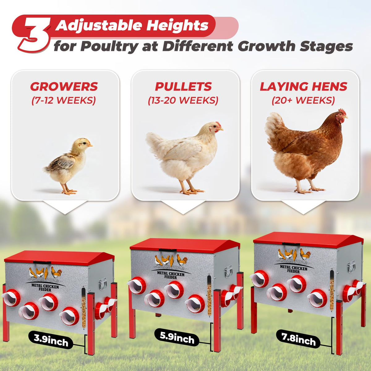 Pravoluxmax waterproof, rodent-proof feed box protects feed outdoors
