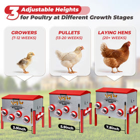 Pravoluxmax waterproof, rodent-proof feed box protects feed outdoors