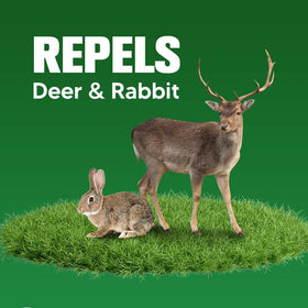 PRBSOQ deer repellent balls around trees provide long-lasting wildlife protection.