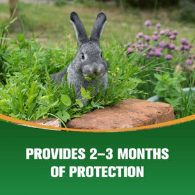 PRBSOQ safe for people and pets when used as directed