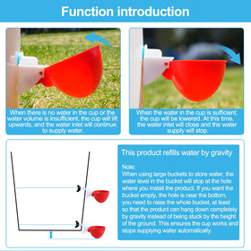 Prdiozyn cup shows 3in diameter and 1.77in depth for comfortable drinking