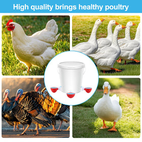Prdiozyn easy-to-clean waterer system keeps the coop tidier