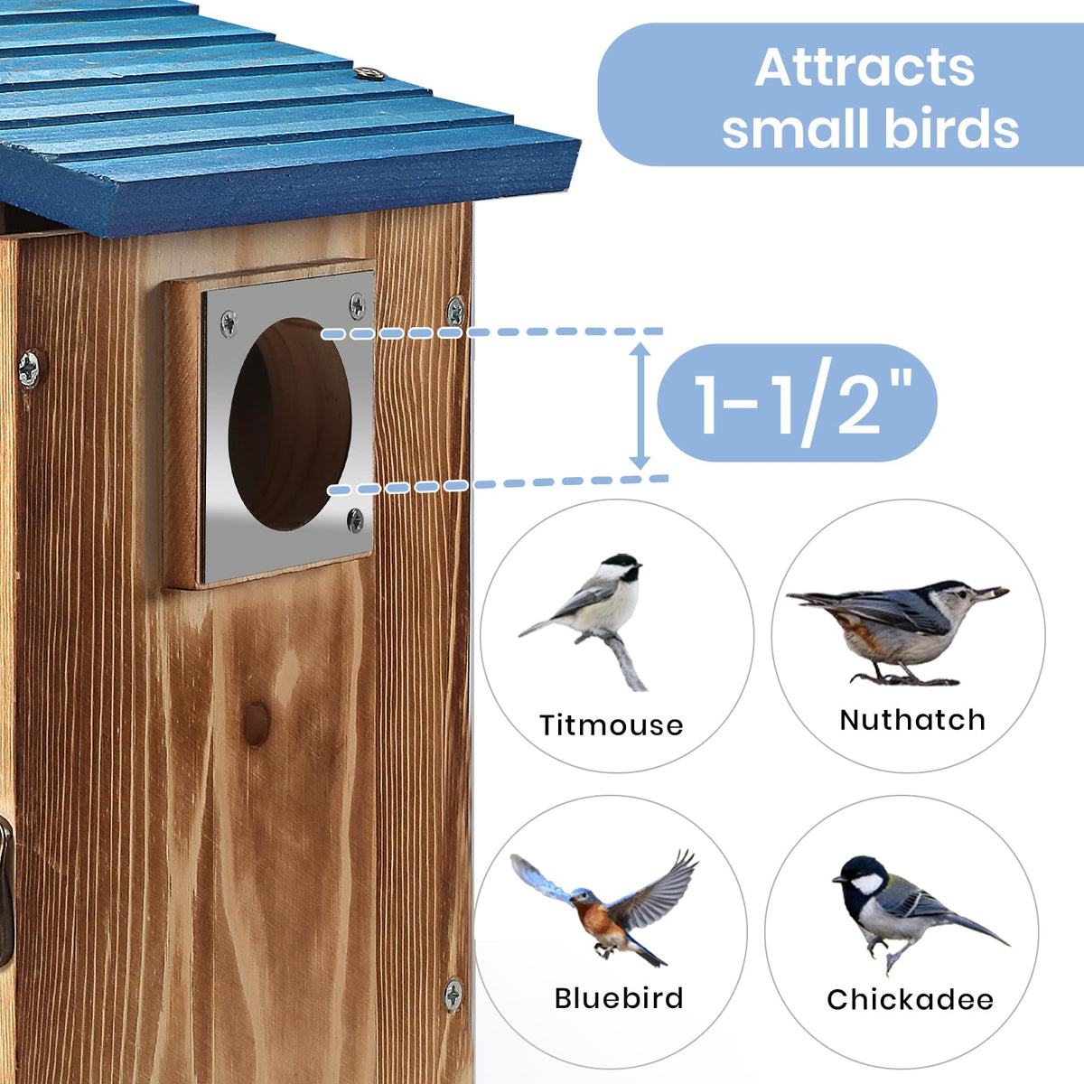 Predimeza fully assembled bird house ready to hang.