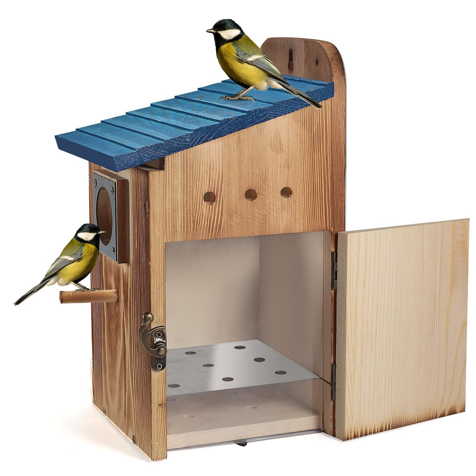Predimeza blue bird house with outdoor view panel for close observation.