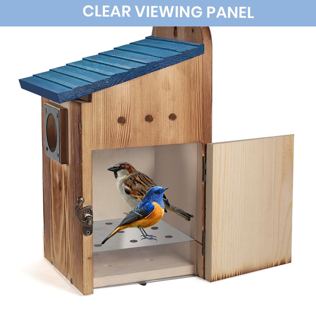 Predimeza blue bird house featuring predator guard for safer nesting.