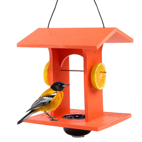 Predimeza Oriole Feeder outdoors with glass jelly bowl for vibrant garden meals