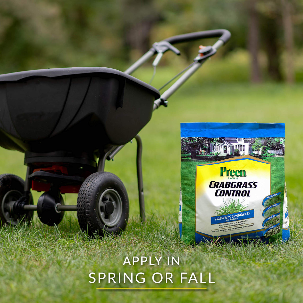Preen Lawn Crabgrass Control application scene showing even coverage in a lawn.