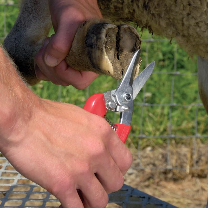 Premier 1 ARS 140DXR Japanese steel blades maintain a sharp edge.