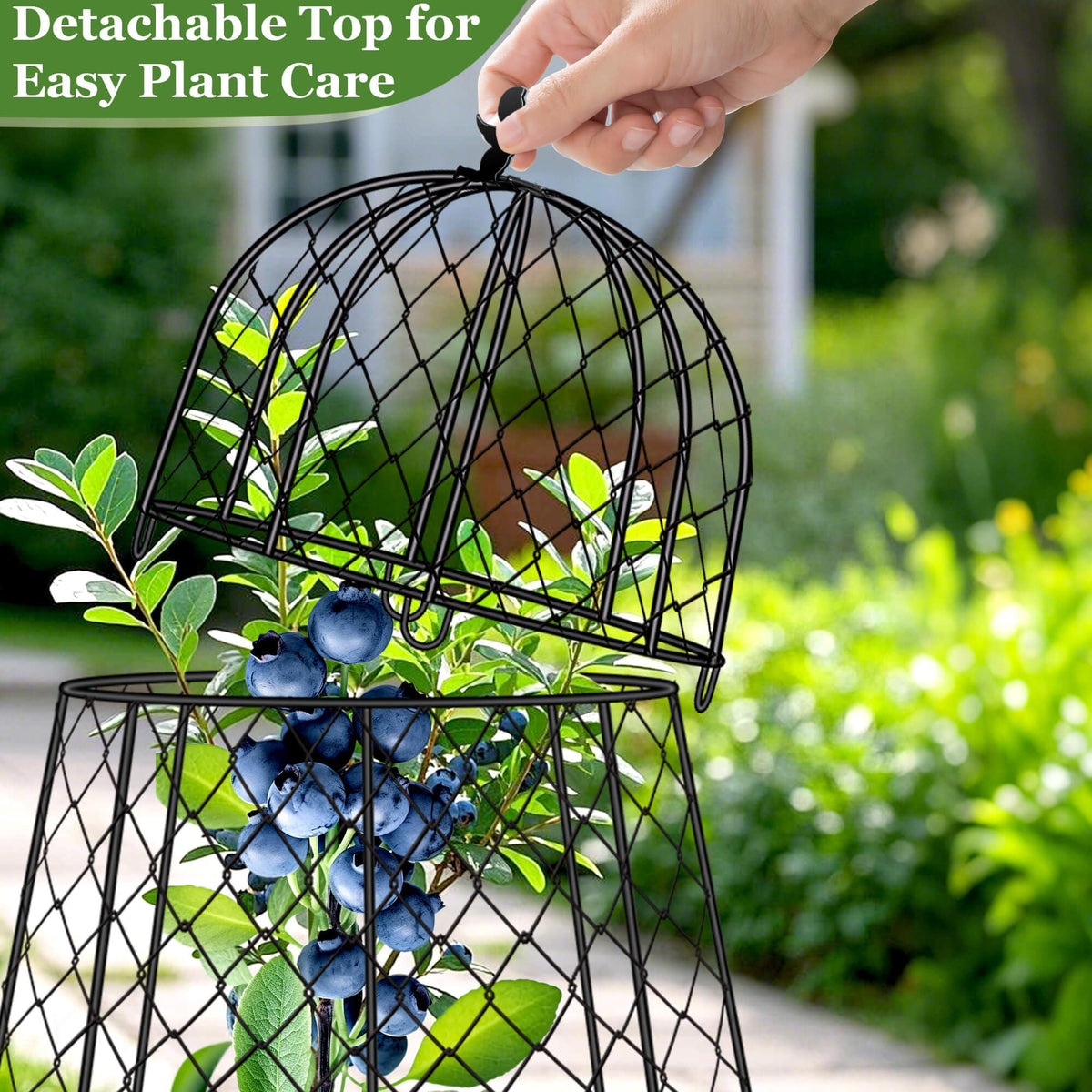 PREMILITY animal-deterrent cloche guards against rabbits, squirrels, and birds.