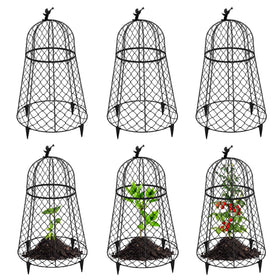 PREMILITY plant protectors shield plants from animals, in a 6-pack cloche.
