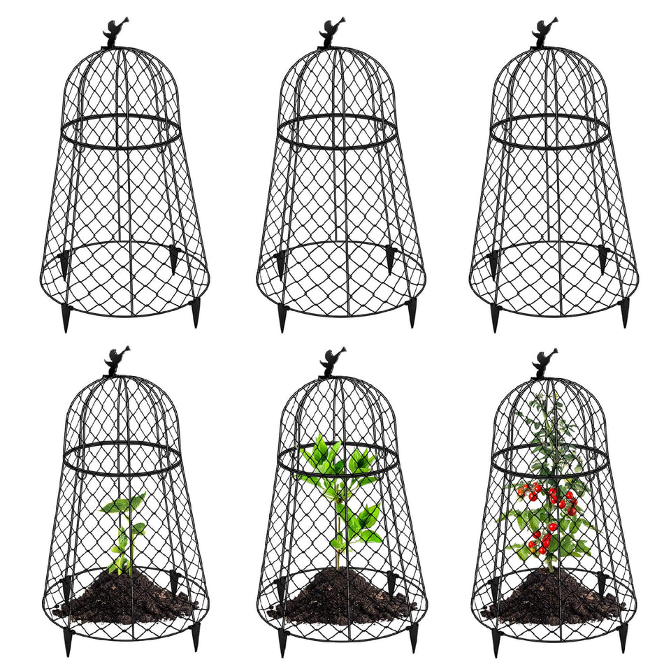 PREMILITY plant protectors shield plants from animals, in a 6-pack cloche.