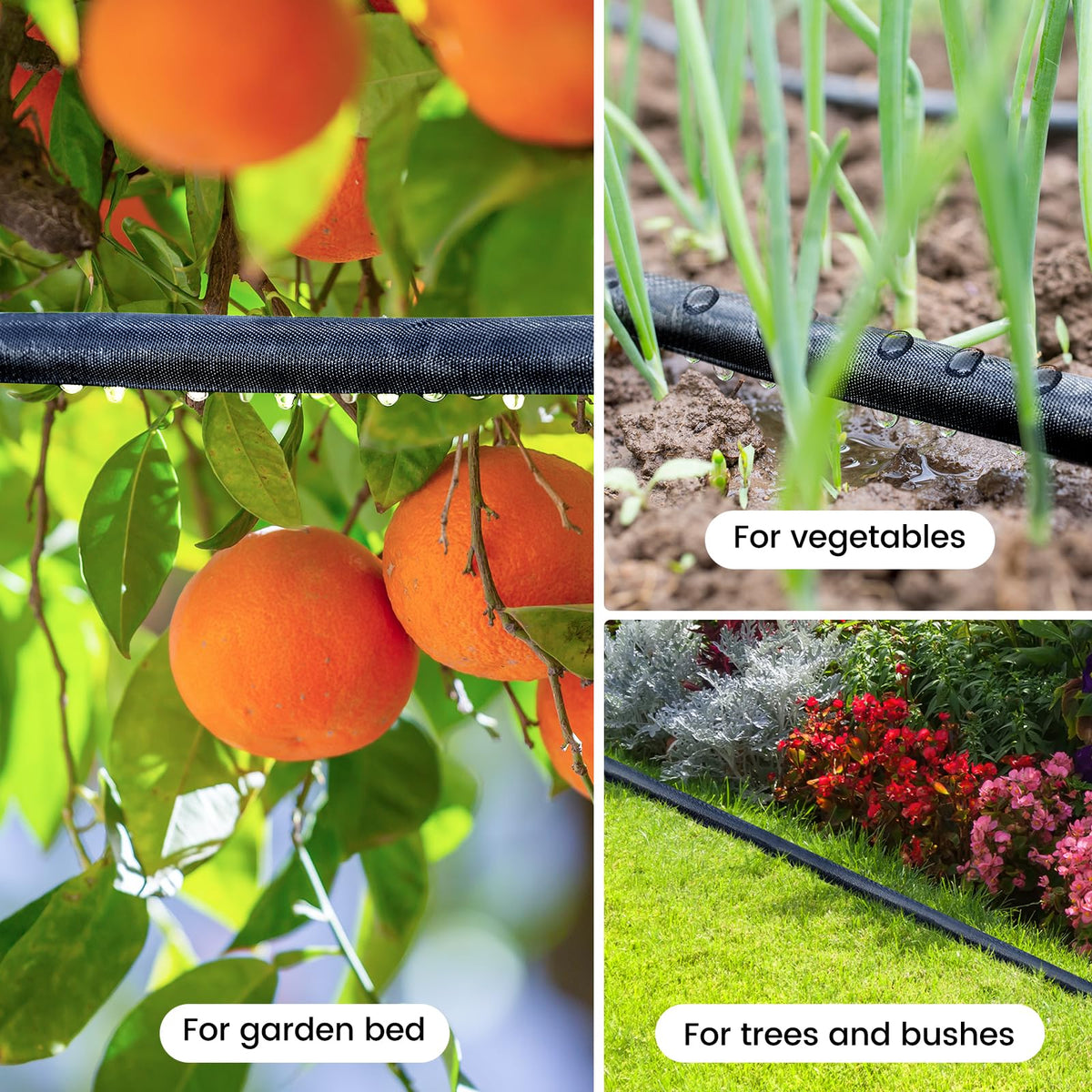 Lawn and orchard irrigation with Premillow hose for even root moisture
