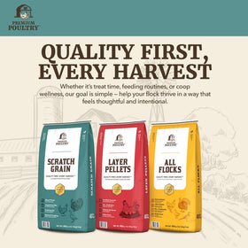 Premium Poultry backyard flock activity with scatterable treat.