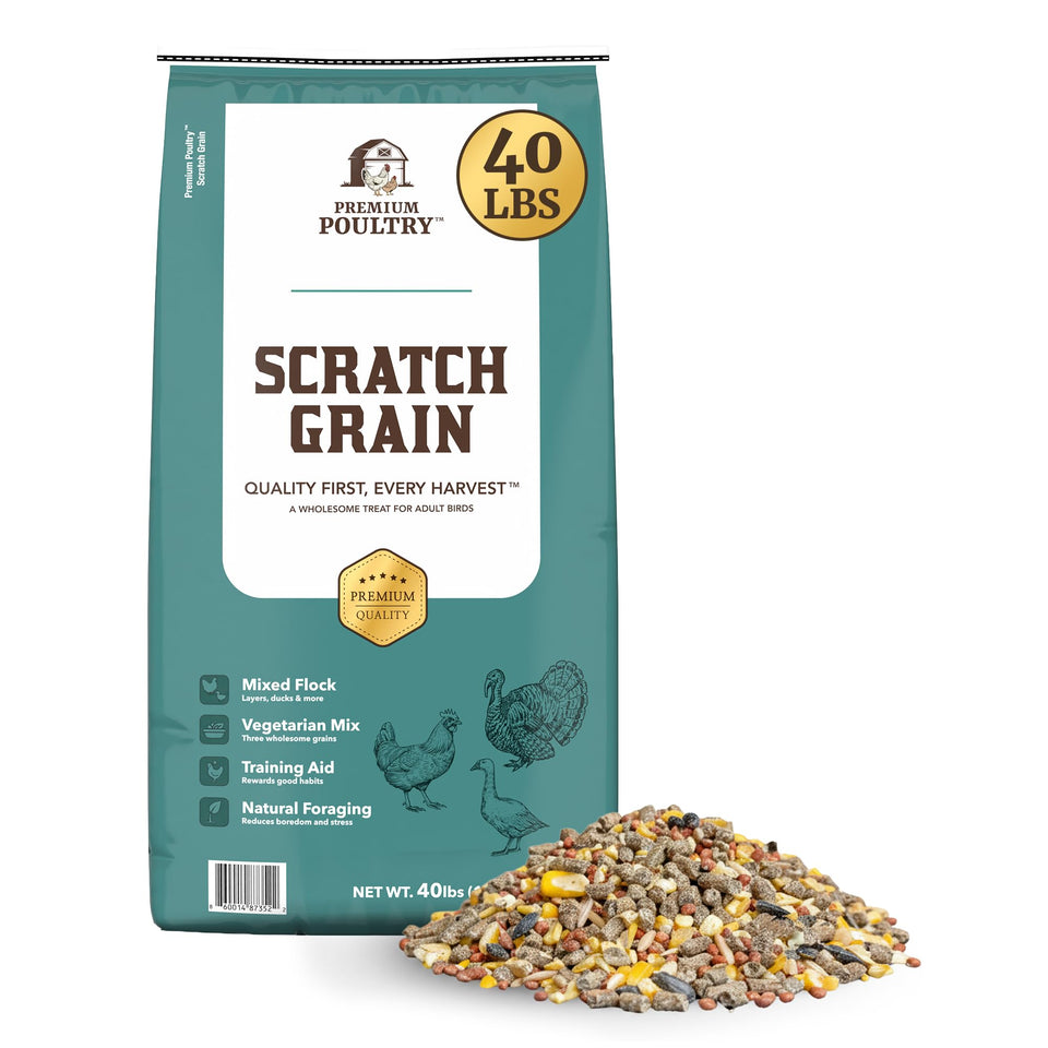 Premium Poultry chicken scratch grain bag for healthy foraging in a backyard flock.