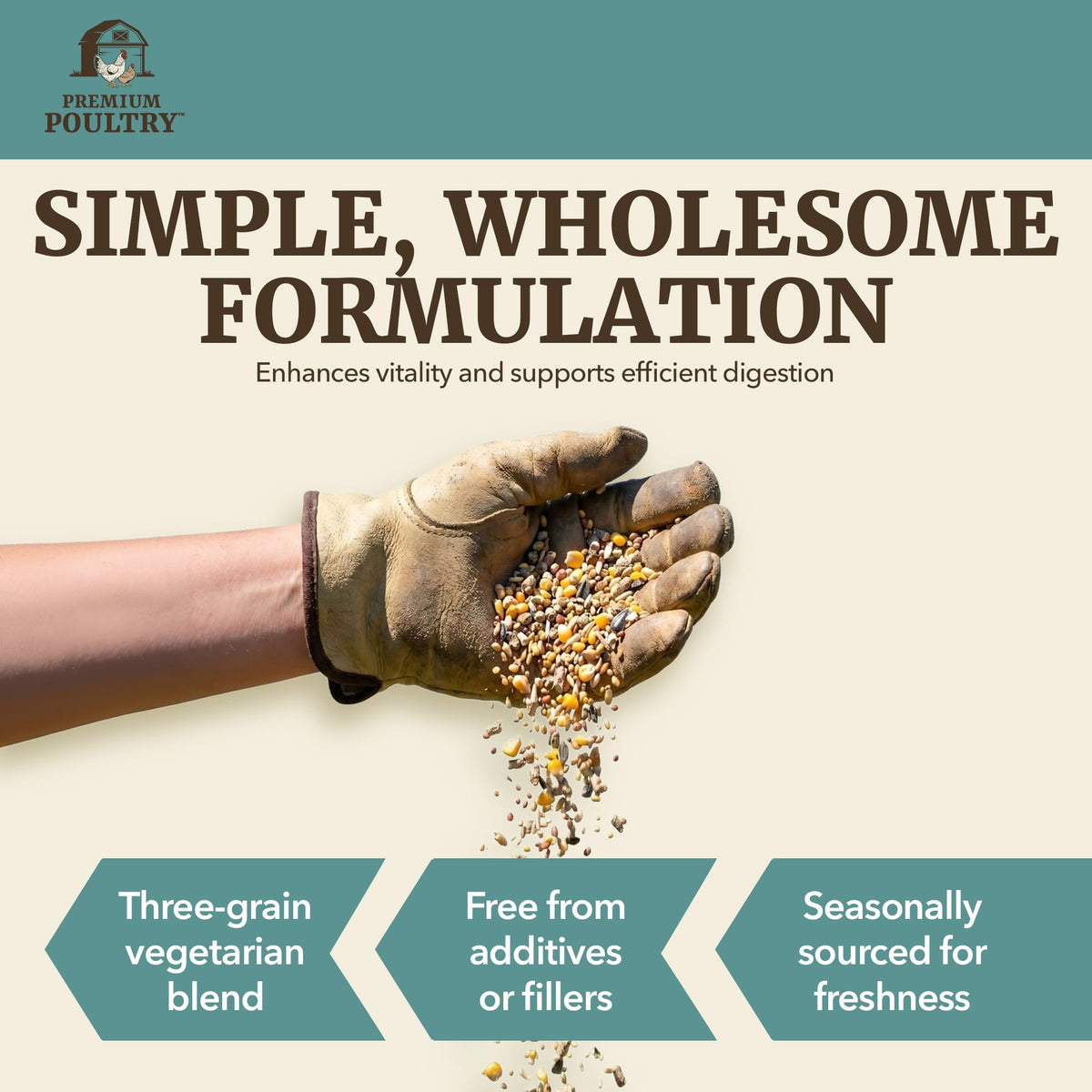 Premium Poultry energy grain mix showing nutrient-dense feed.