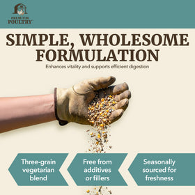 Premium Poultry energy grain mix showing nutrient-dense feed.