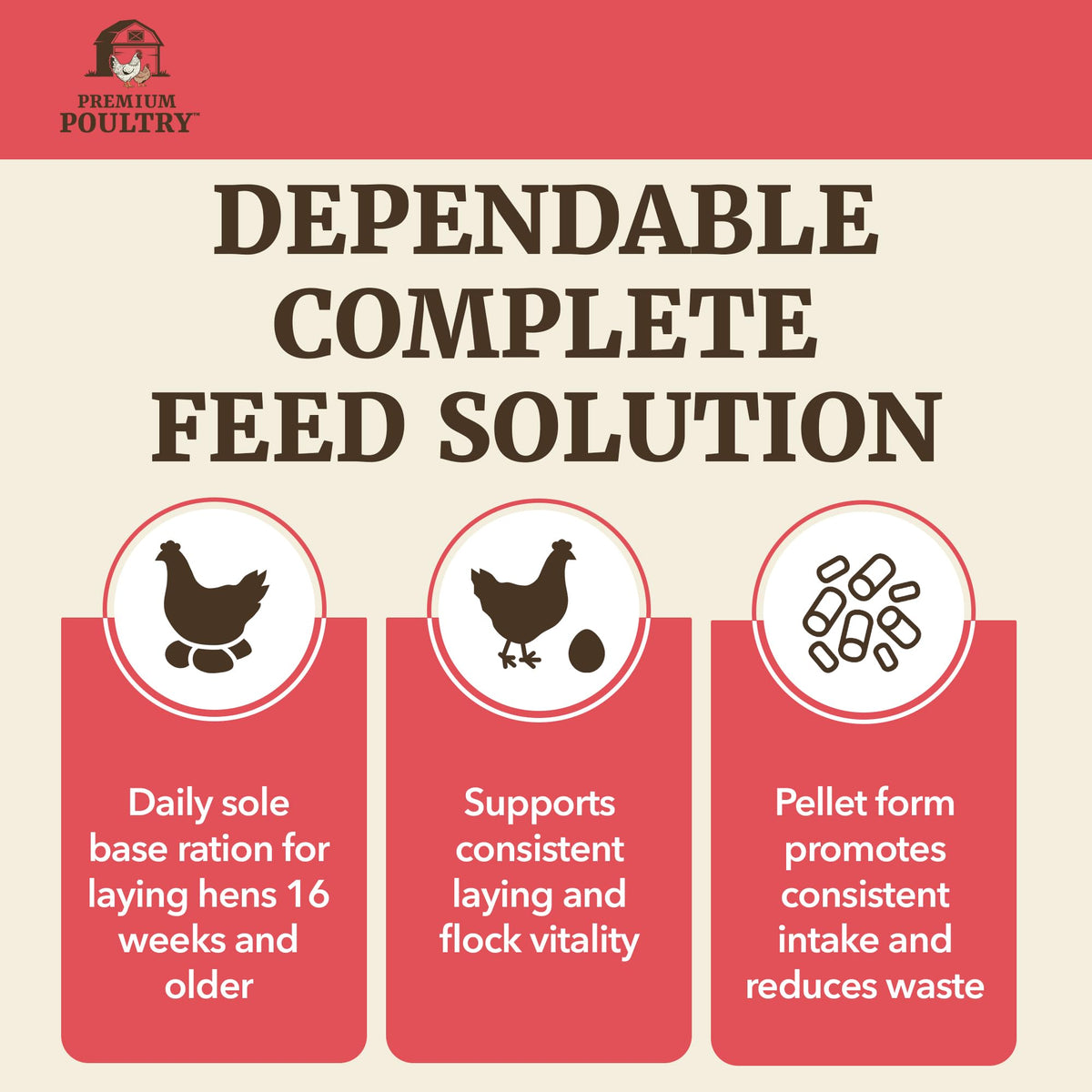 Premium Poultry Layer Pellet egg shell closeup highlights durable shells.