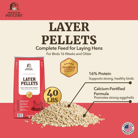 Premium Poultry Layer Pellet eggs-in-nest shows healthy yolks and reliable laying.