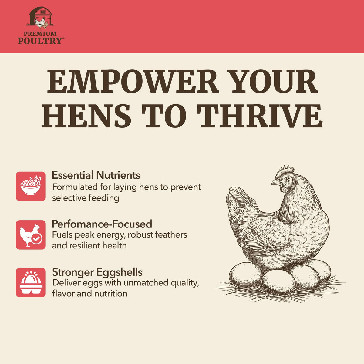 Premium Poultry Layer Pellet hens feeding demonstrates reduced waste.