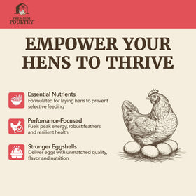 Premium Poultry Layer Pellet hens feeding demonstrates reduced waste.