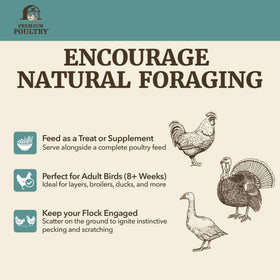 Premium Poultry made-in-USA label emphasizing quality ingredients.