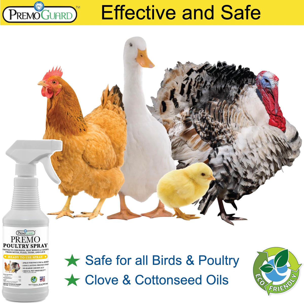 Chickens treated for mites with Premo Guard on feathers