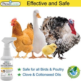 Chickens treated for mites with Premo Guard on feathers