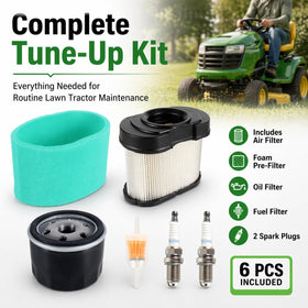 Pro Chaser D160 D170 spark plug 2-pack for easy maintenance