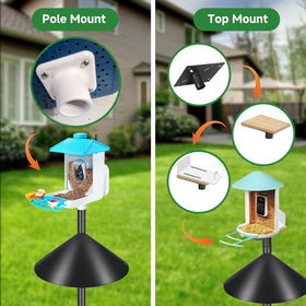 PROERR squirrel-baffle design helps protect feeders from curious rodents during meals.