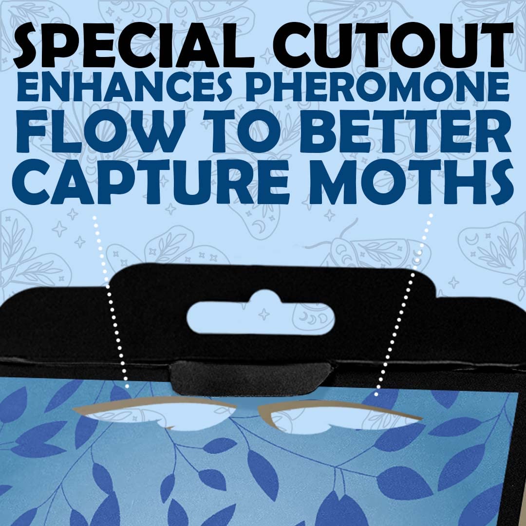 Professor Killamoth pantry moth traps blue design air vents boost pheromone release.