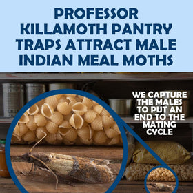 Professor Killamoth pantry moth traps blue design pet-safe and non-toxic.