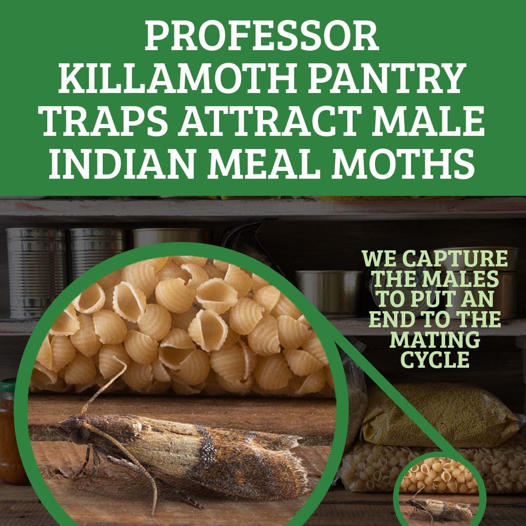 Professor Killamoth pheromone traps inside cabinet attract moths away from food.