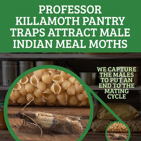 Professor Killamoth pheromone traps inside cabinet attract moths away from food.
