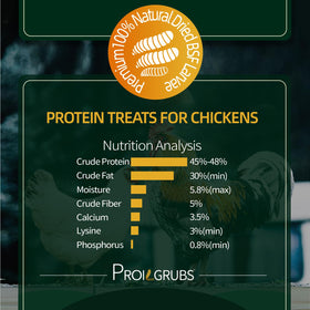 PROILGRUBS BSFL dried grubs close-up emphasizing high-protein chicken snack.