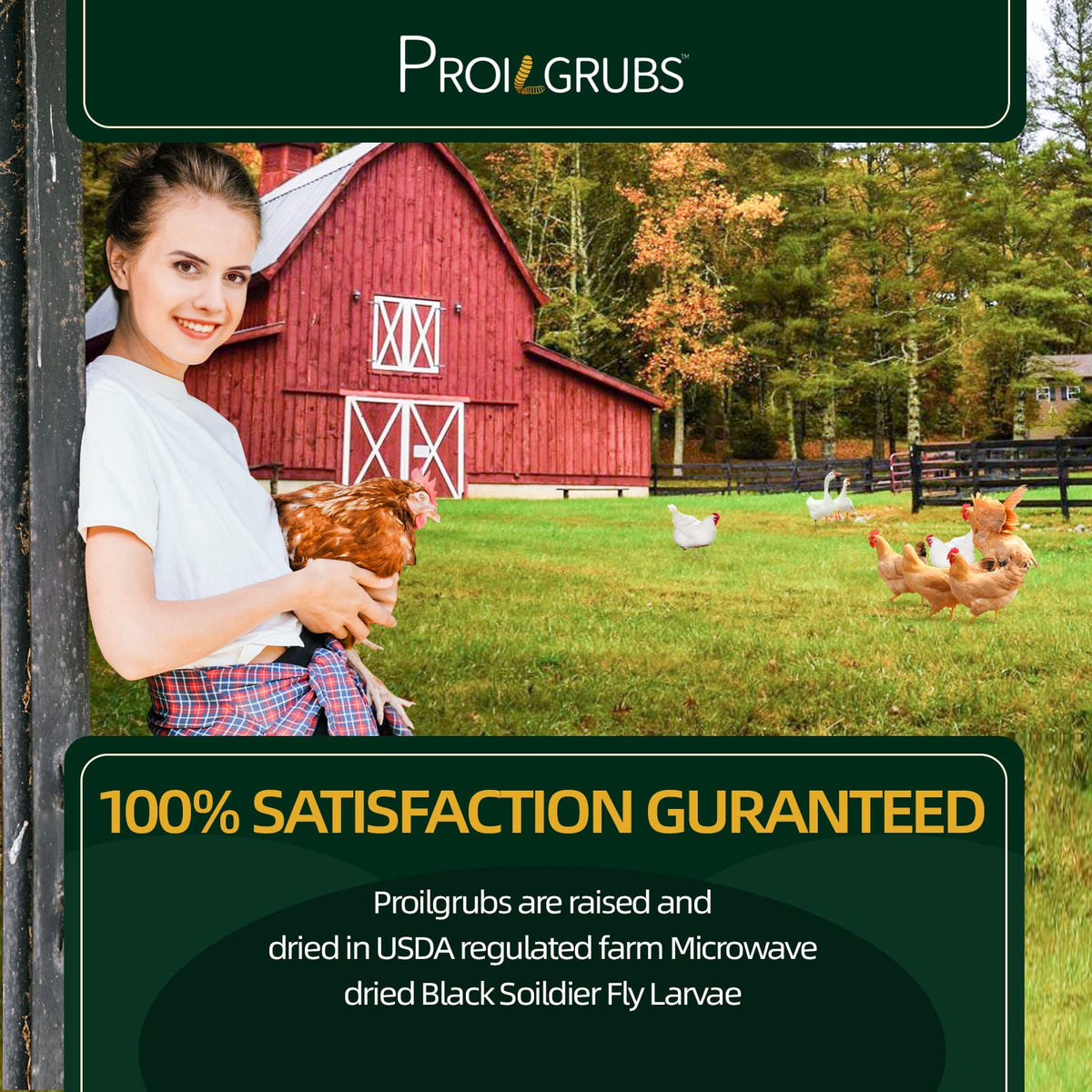 PROILGRUBS BSFL quality-control stamp indicating safety and consistency for feeding.