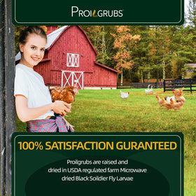 PROILGRUBS BSFL quality-control stamp indicating safety and consistency for feeding.