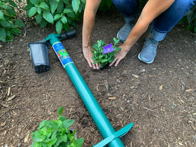 ProPlugger soil sampler image highlights quick soil testing in a home garden.