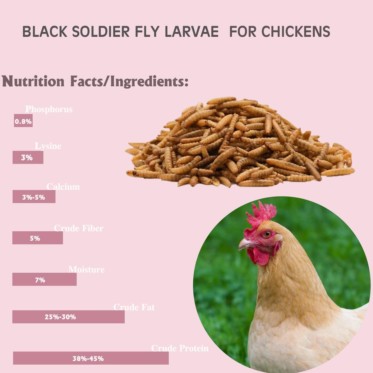 Non-GMO BSF larvae provide natural poultry nutrition.