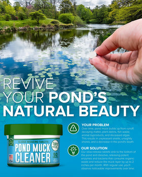 Clear pond surface after treatment with ProSpring Labs Pond Clarity Solution
