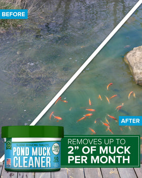 Pellets dissolving in water to reduce pond sludge and improve clarity