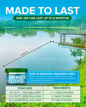 Wildlife-friendly pond habitat supported by ProSpring Labs treatment