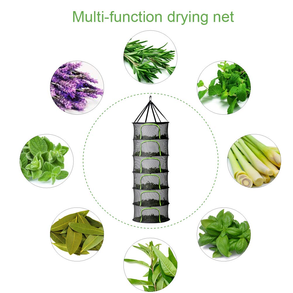 PROTITOUS hydroponics drying rack set up inside a grow tent for natural air drying.
