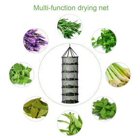 PROTITOUS hydroponics drying rack set up inside a grow tent for natural air drying.