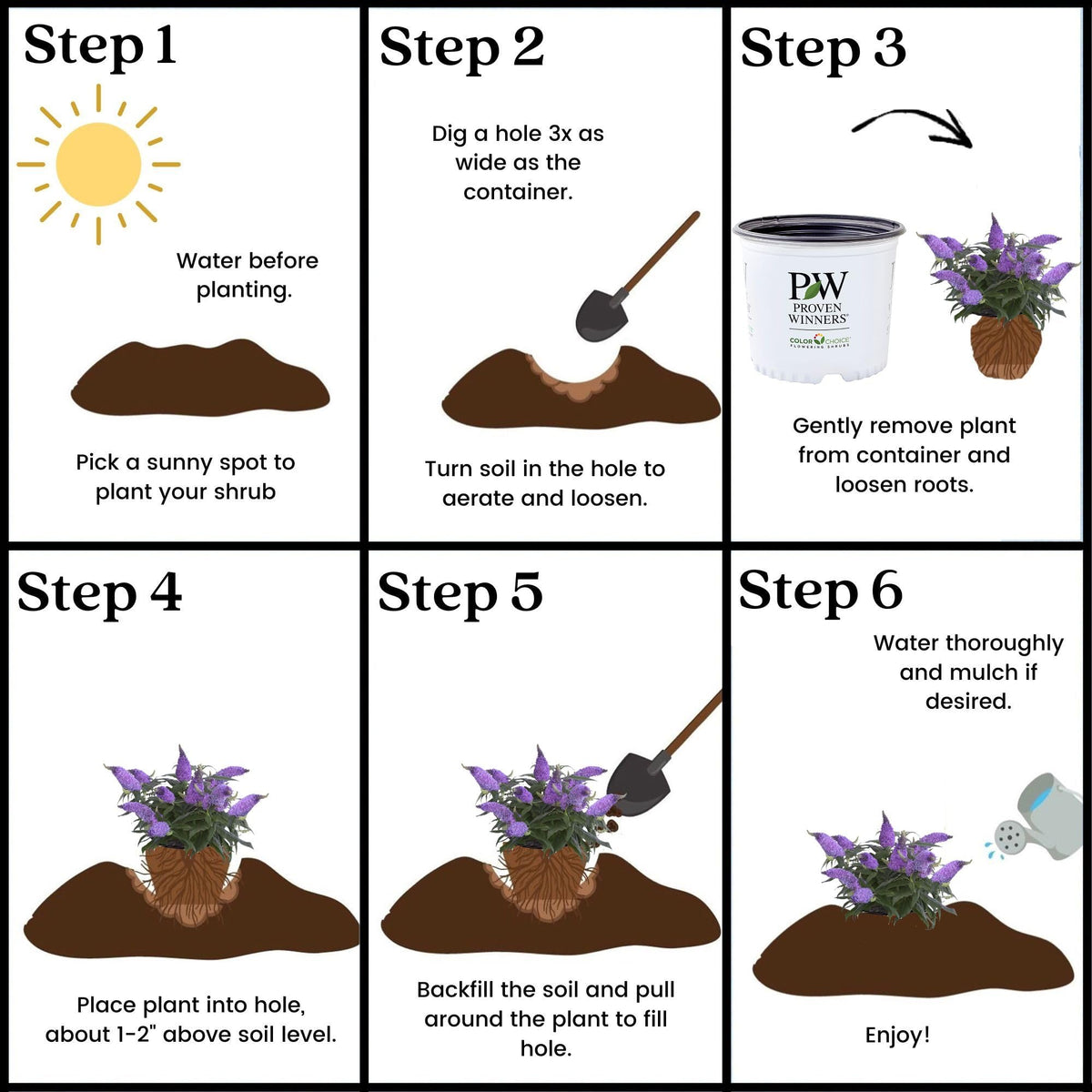 Proven Winner Pugster Amethyst buddleia container-friendly plant for patios.