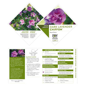 Proven Winners Rose of Sharon border shrub enhances landscape color all season.
