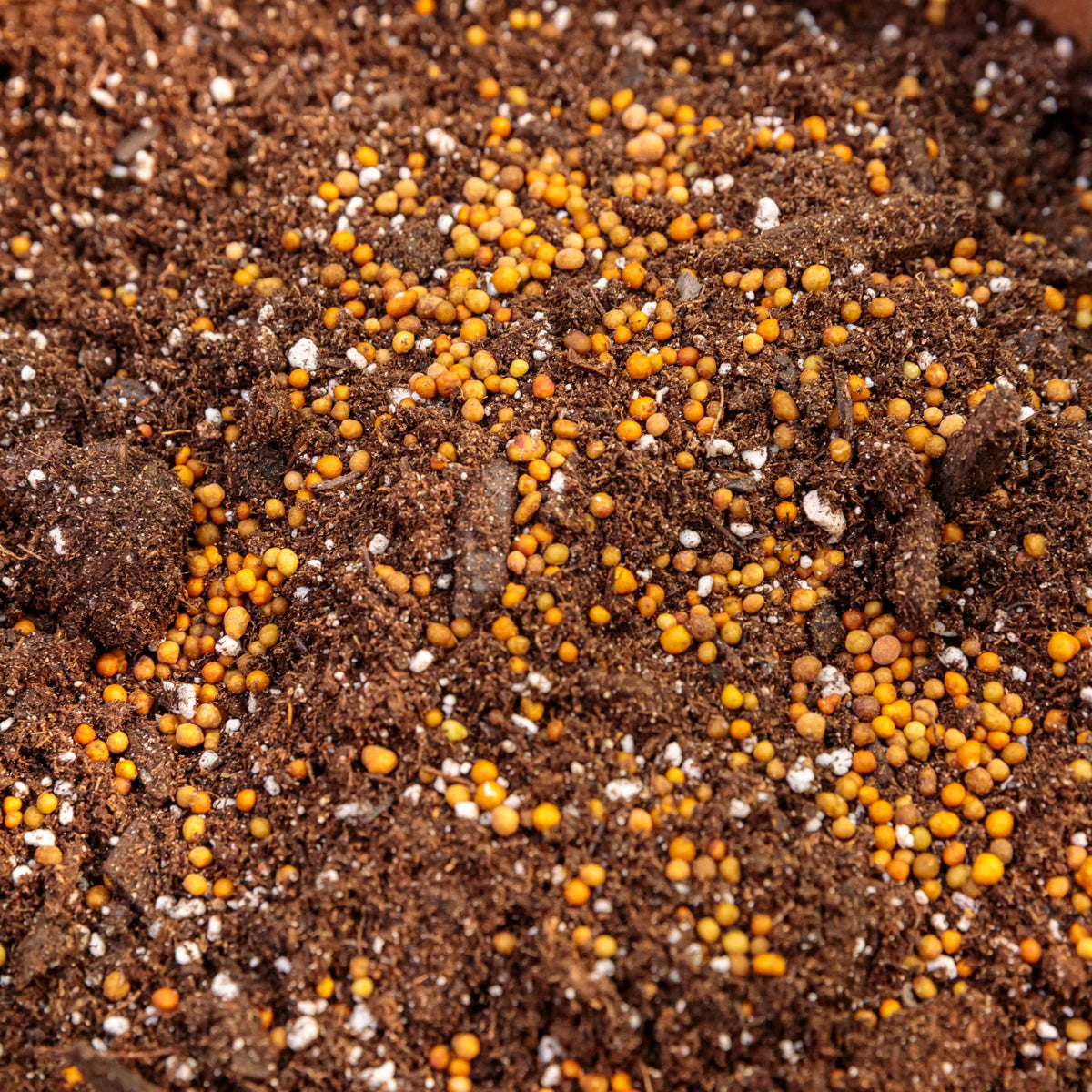 Proven Winners sprinkle-around-plants application shows simple setup for successful plantings